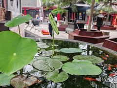 -慈恩寺