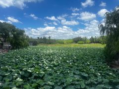 -重元寺香积厨素斋馆
