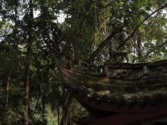-青城山