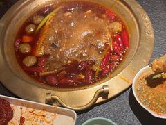 -熊喵来了火锅(四平万达第56分店)