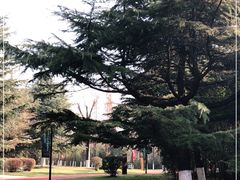 -城市运动公园(未央区)