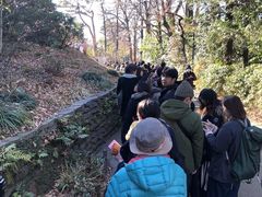 -三鹰之森吉卜力美术馆