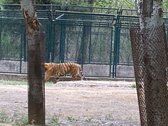 -秦皇岛野生动物园