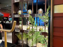 -芸山季·云南山珍菌火锅(人民广场来福士店)