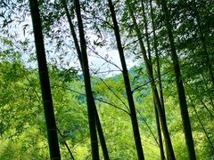 -千泷沟大瀑布旅游区