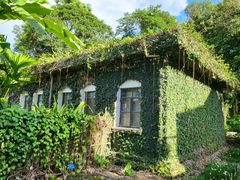 -中国科学院西双版纳热带植物园