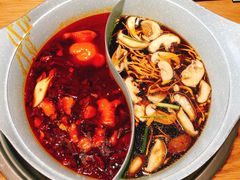 -青瓷火锅料理(西单大悦城店)