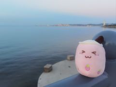 -威海蓝海御华大饭店·蓝钻美食自助百汇