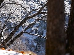 -洛阳白云山景区