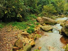 -青城甲(青城山店)
