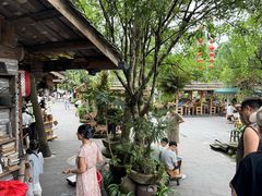 -青城甲(青城山店)