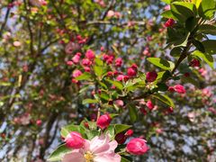 -大兴滨河森林公园