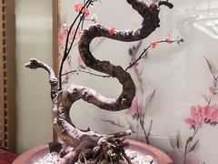 -南堂馆·新川菜(天府三街店)