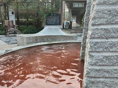 -张家港金凤凰度假村温泉