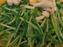 上汤豆苗-榕意·川味之美(深业上城店)