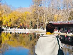 -宗角禄康公园
