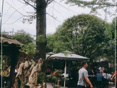 -青城甲(青城山店)