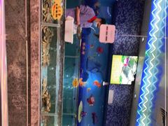 -快乐海鲜城(虎泉街店)