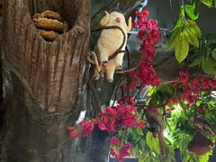 -草原塞蛮羊火锅城(港湾店)