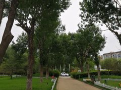 -廊坊文化艺术中心