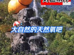 -秦岭天竺山景区