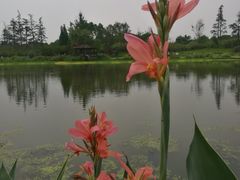 -桤木河湿地公园