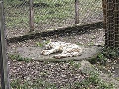 -北京野生动物园