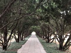 -洛阳古墓博物馆