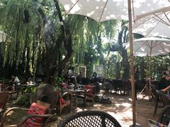 -Fern Forest Cafe