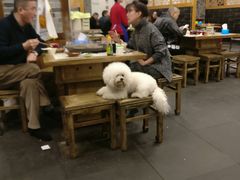 大堂-重庆老火锅王(西安北路店)