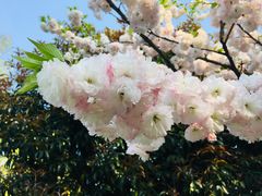 -敬亭山风景名胜区