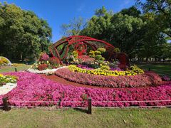 -上海共青森林公园