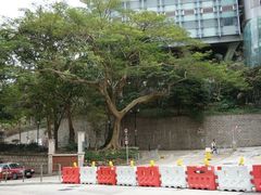 -香港大学