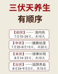 -香薇妮丝·定制减肥·身材管理