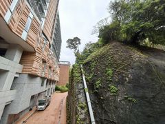 -香港大学