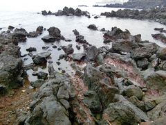 -龙头岩(Dragon Head Rock)