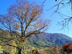 -塔川景区