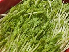 -番食园鲜食火锅(高新店)