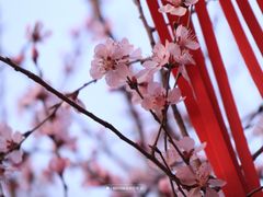 -三里河公园
