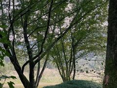 -古堰画乡景区