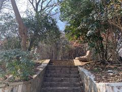 -紫金山山顶公园