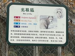 -合肥野生动物园