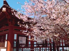 -西安青龙寺遗址景区