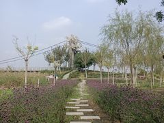 -西青郊野公园