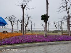 -芒洲湿地公园