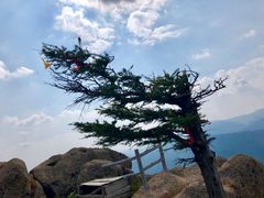 -芦芽山旅游度假区