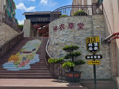 -广州神农草堂中医药博物馆
