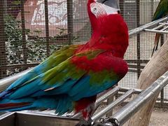 -南宫五洲植物乐园