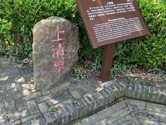 -上海佘山国家森林公园天马山园