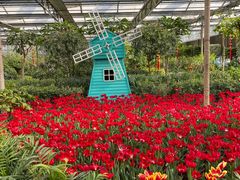 -南宫五洲植物乐园